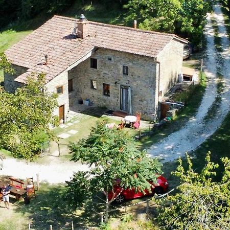 Mimmo'S Holiday House San Godenzo Esterno foto