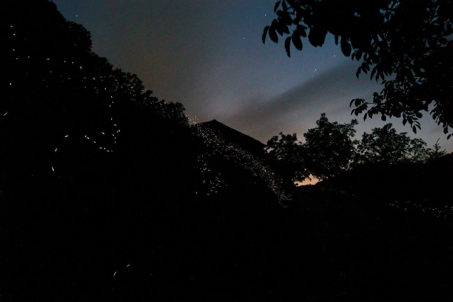 Mimmo'S Holiday House San Godenzo Esterno foto