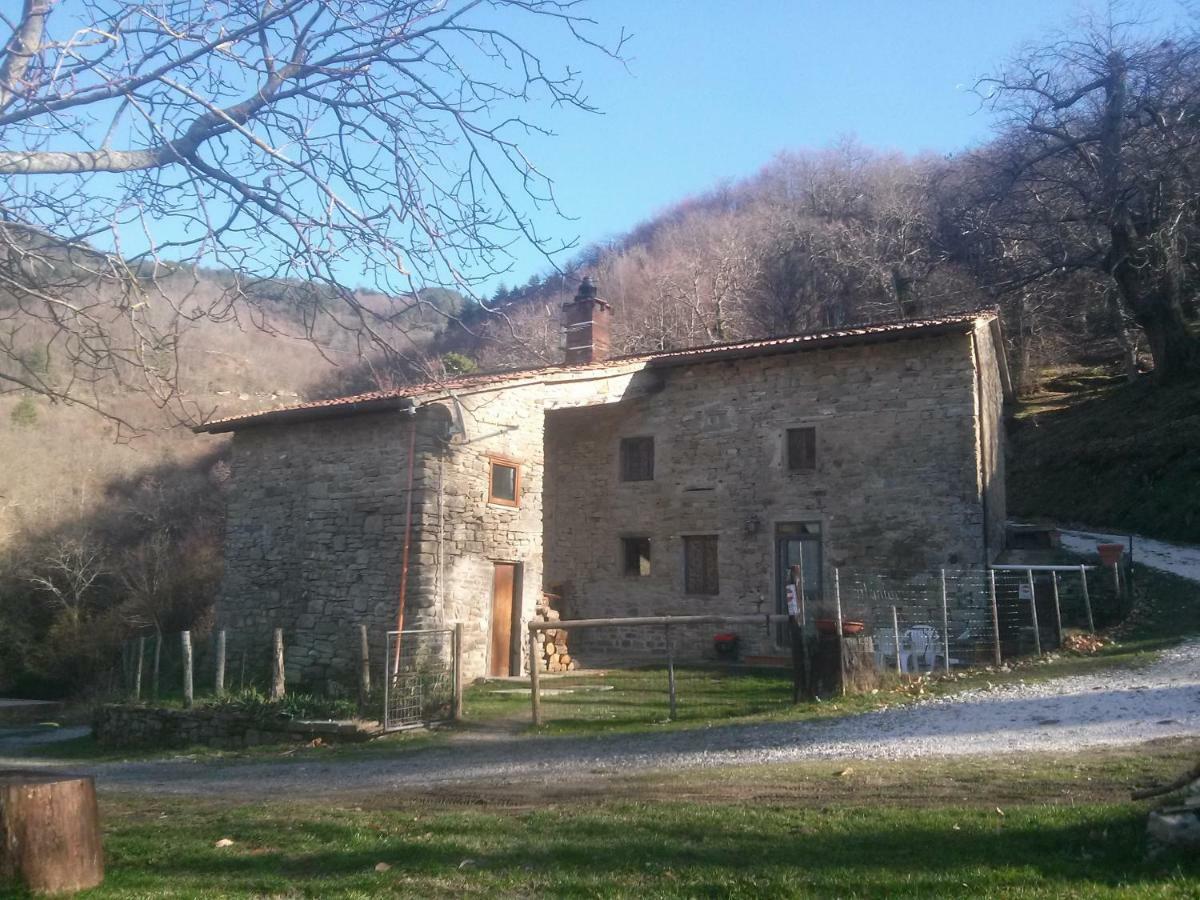 Mimmo'S Holiday House San Godenzo Esterno foto